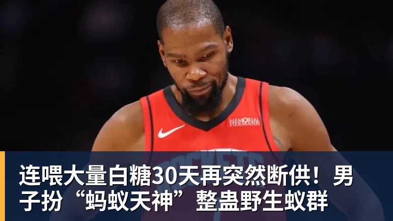 好博体育连喂大量白糖30天再突然断供！男子扮“蚂蚁天神”整蛊野生蚁群